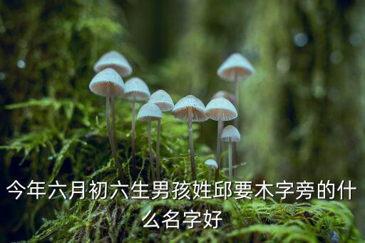 稅什么邱什么的名字，孩子姓邱該取什么名字呢男女都行