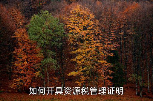 資源稅乙種證明要什么資料，混凝土公司購(gòu)買(mǎi)砂石需要開(kāi)具資源稅乙種證明嗎