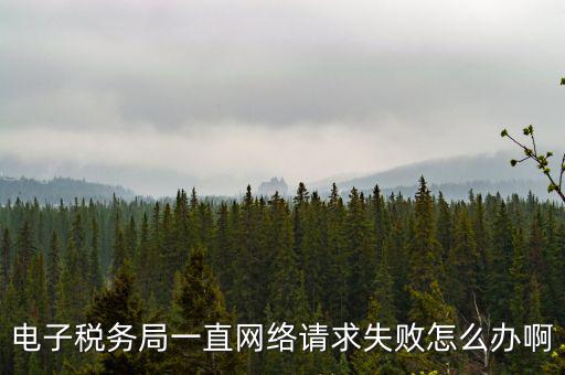 貴州省網(wǎng)上稅務(wù)局為什么打不開，怎么打不開貴州地方稅務(wù)局網(wǎng)站