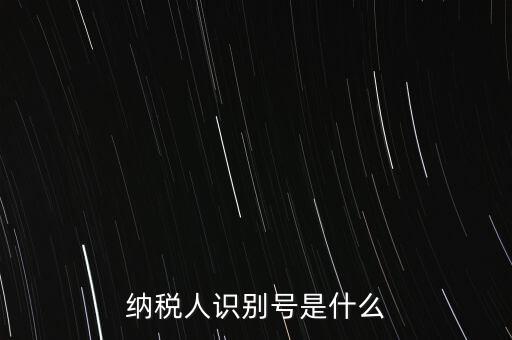 電子稅務局納稅人識別號是什么，納稅人識別號是什么