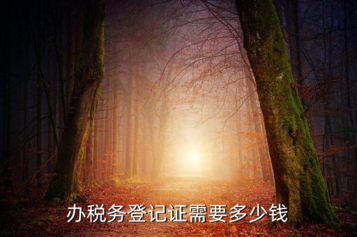 稅務(wù)局登記需要什么手續(xù)費(fèi)，辦稅務(wù)登記證需要多少錢(qián)
