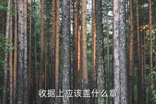 收據(jù)應(yīng)蓋什么章，收據(jù)蓋什么章有規(guī)定嗎