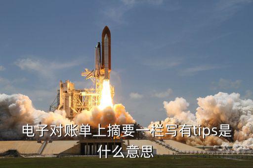 國稅tips系統(tǒng)指什么，電子對(duì)賬單上摘要一欄寫有tips是什么意思