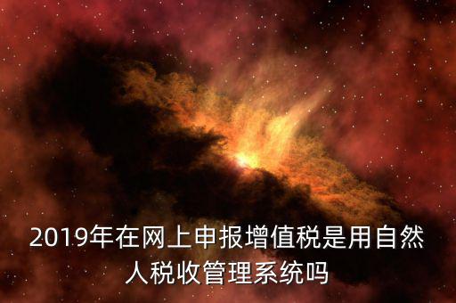 什么是增值稅管理系統(tǒng)，2019年在網(wǎng)上申報(bào)增值稅是用自然人稅收管理系統(tǒng)嗎