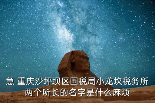 稅務(wù)所所長什么級別，地稅局基層稅務(wù)所屬什么層級