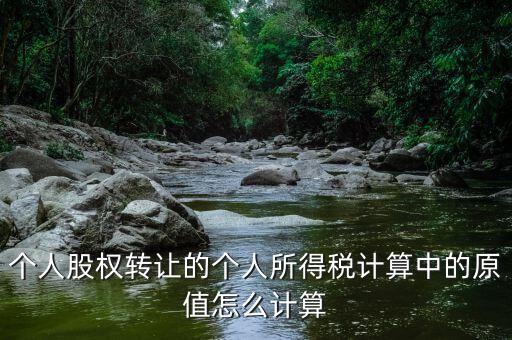 股權(quán)原值是什么，公司注冊(cè)資本是100萬(wàn)現(xiàn)在要轉(zhuǎn)讓股權(quán)那股權(quán)原值是多少股權(quán)轉(zhuǎn)