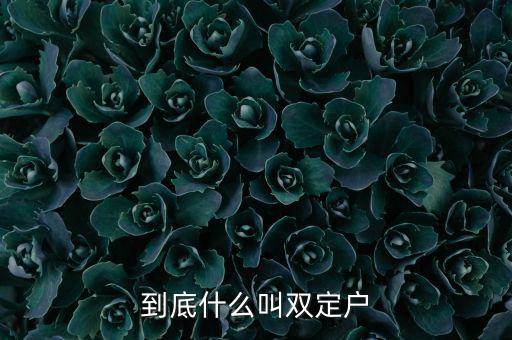 什么是雙定戶(hù)，雙翅一一翻雙眉什么雙眼什么