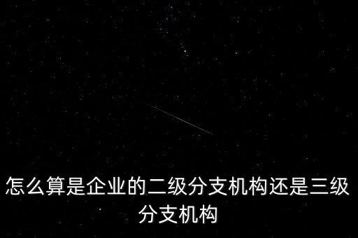 什么叫企業(yè)二級(jí)分支機(jī)構(gòu)，現(xiàn)在分公司要辦稅務(wù)登記證但是我想問一下二級(jí)分機(jī)構(gòu)指的是