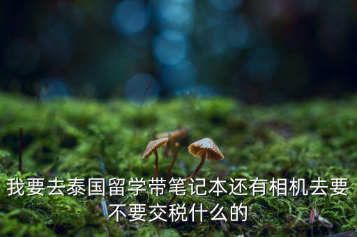 泰國(guó)什么人需要納稅，我要去泰國(guó)留學(xué)帶筆記本還有相機(jī)去要不要交稅什么的