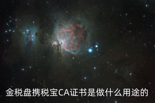 稅友的ca是什么，什么是稅務(wù)局的CA證書(shū)