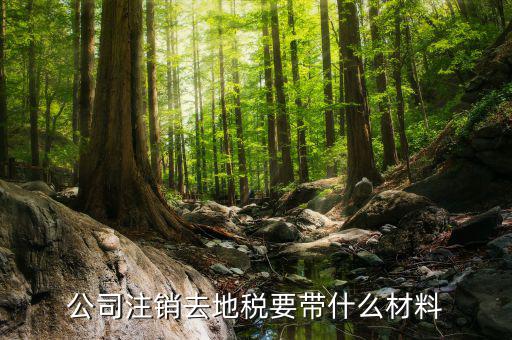 注銷地稅需要帶什么資料，公司注銷去地稅要帶什么材料