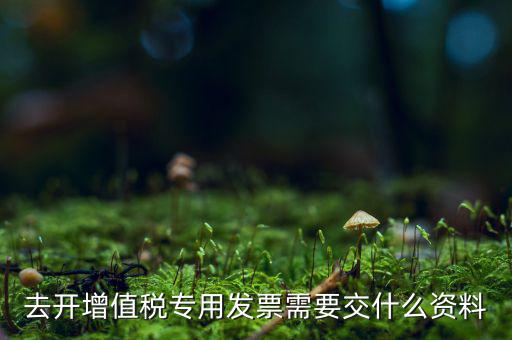 開專票需要對方什么資料，開具增值稅專用發(fā)票需要購買方提交什么資料稅屋