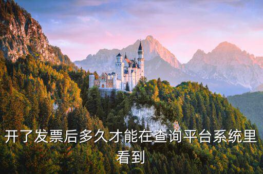 勾選平臺什么時候可以查到發(fā)票，已經(jīng)開具的專用發(fā)票多久才能在勾選平臺中查到