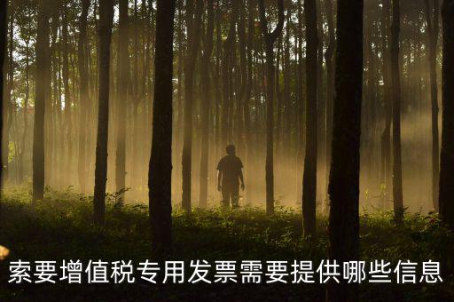 專用發(fā)票需要什么信息，現(xiàn)在開取增值稅專用發(fā)票需要什么資料