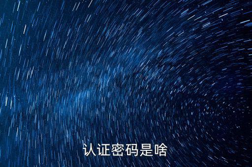 網(wǎng)上認證的密碼是什么意思啊，市民身份證手機認證服務(wù)密碼是什么意思在線等急