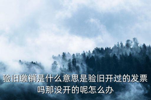 發(fā)票驗舊繳銷是什么意思，發(fā)票驗舊是什么意思