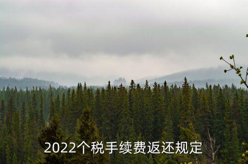 個稅返手續(xù)費什么時間，退個稅手續(xù)費2022年新規(guī)定