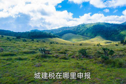 地稅城市維護建設稅按什么申報，城建稅申報