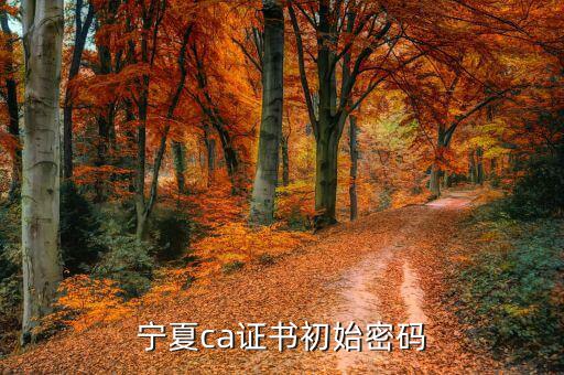 ca的默認密碼是什么意思，ca口令是什么