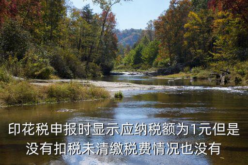 印花稅是1的時(shí)候?yàn)槭裁床豢劭睿』ǘ惿陥?bào)時(shí)顯示應(yīng)納稅額為1元但是沒(méi)有扣稅未清繳稅費(fèi)情況也沒(méi)有