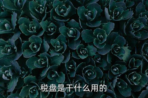 為什么要買(mǎi)金稅盤(pán)，稅控盤(pán)是一定要買(mǎi)的嗎