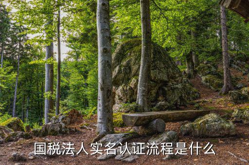 稅務(wù)實(shí)名認(rèn)證需要什么，在國(guó)稅局辦理實(shí)名認(rèn)證要準(zhǔn)備哪些資料
