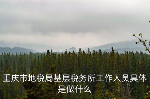 稅務局什么工作人員，請問地方稅務局具體做哪些工作