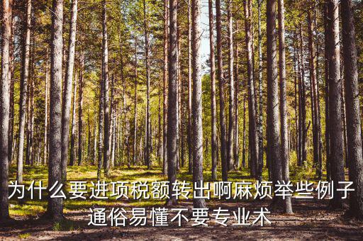 為什么要進(jìn)項(xiàng)稅額轉(zhuǎn)出，為什么要進(jìn)項(xiàng)稅額轉(zhuǎn)出啊麻煩舉些例子通俗易懂不要專業(yè)術(shù)