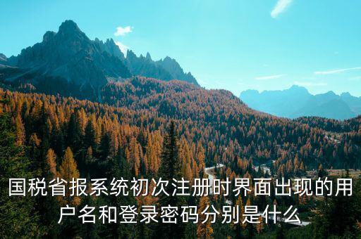 河南省國稅申報(bào)系統(tǒng)帳號是什么，請問國稅申報(bào)用戶號是什么密碼又是什么