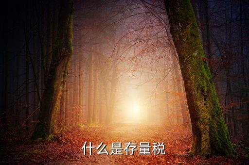 稅務(wù)存量戶指什么，稅務(wù)登記證轉(zhuǎn)非是什么意思