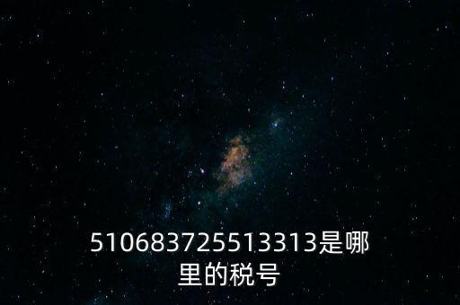 陜西省地方的稅號(hào)開頭是什么，510683725513313是哪里的稅號(hào)