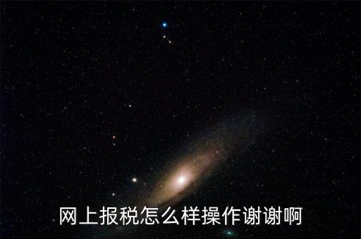 福建企業(yè)在什么網(wǎng)站報(bào)稅，網(wǎng)上報(bào)稅怎么樣操作謝謝啊