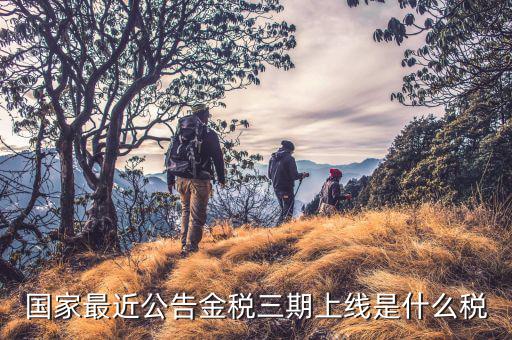 金稅三期從什么上線，國家最近公告金稅三期上線是什么稅