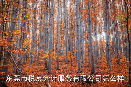 東莞稅友是做什么的，稅友集團(tuán)是做什么的