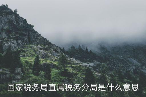 征管分局是什么，南通市通州區(qū)地方稅務局的征管分局