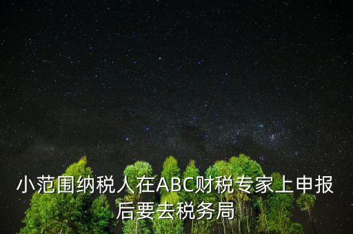 財稅專家是報什么稅，小范圍納稅人在ABC財稅專家上申報后要去稅務(wù)局