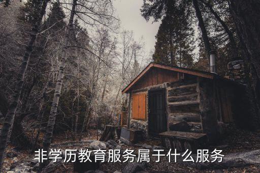 非學(xué)歷教育服務(wù)入賬做什么，非學(xué)歷教育咨詢費(fèi)能入賬嗎