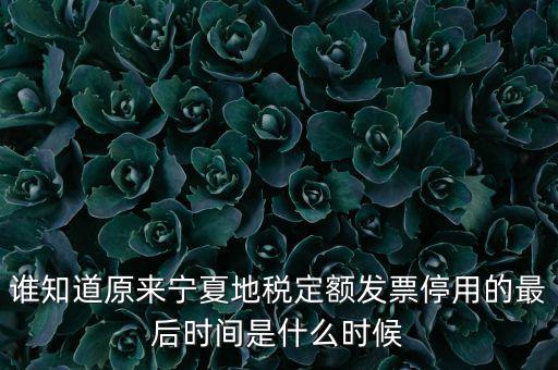 地稅的發(fā)票什么時(shí)候不能用，誰知道原來寧夏地稅定額發(fā)票停用的最后時(shí)間是什么時(shí)候