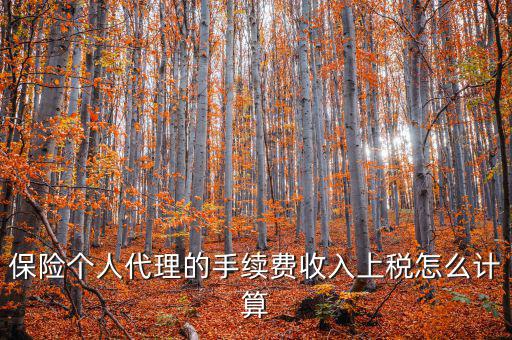 保險(xiǎn)代理員交什么稅，請(qǐng)問從車輛保險(xiǎn)代理人的提承里扣的稅是什么稅啊