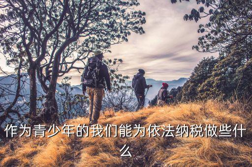 什么是青少年稅法，作為青少年的我們能為依法納稅做些什么