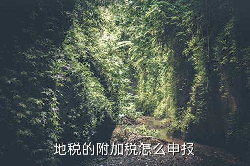 什么是附加稅申報，地稅的附加稅怎么申報
