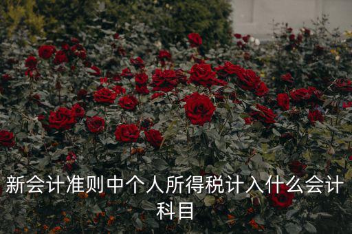 所得稅費用什么科目，新會計準則中個人所得稅計入什么會計科目