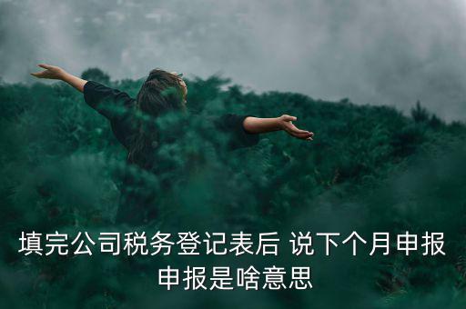 納稅登記表是什么意思，填完公司稅務(wù)登記表后 說(shuō)下個(gè)月申報(bào) 申報(bào)是啥意思