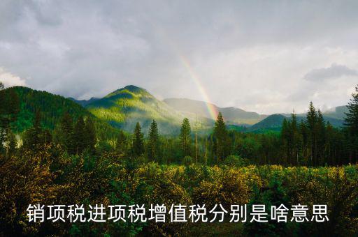 什么是銷項(xiàng)和進(jìn)項(xiàng)，進(jìn)項(xiàng)稅和銷項(xiàng)稅是什么意思