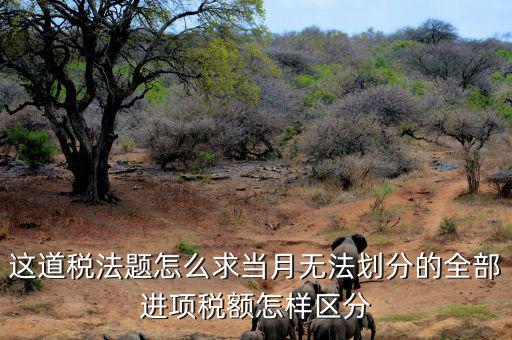 什么叫無法劃分的進項稅額，一般納稅人兼營免稅項目或者非增值稅應稅勞務而無法劃分不得抵