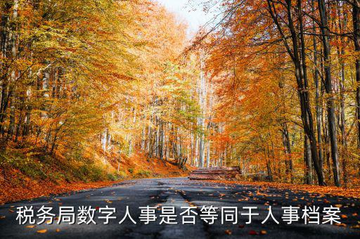 數(shù)字人事國稅是什么，數(shù)字人事第一段怎么劃分