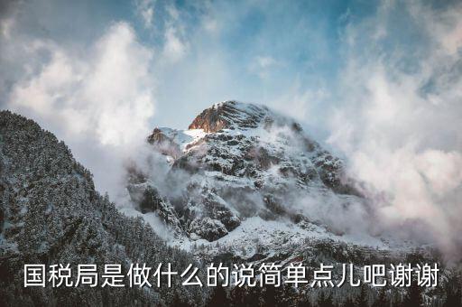濰坊市國(guó)稅局是什么，國(guó)稅局的具體解釋是什么