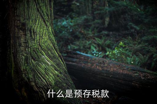 預(yù)繳稅款是什么意思，企業(yè)所得稅年度申報系統(tǒng)初始數(shù)據(jù)的預(yù)繳稅額是什么意思