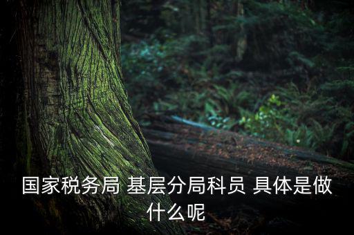 國地稅征管改革黨員干部干什么，國家稅務局 基層分局科員 具體是做什么呢
