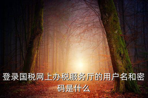 國稅默認(rèn)賬號是什么意思，你好我想問你 一下 網(wǎng)上國稅的用戶名和密碼是什么